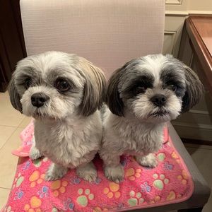 Meet your Posher, Myrna